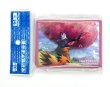 画像1: 【中国版シールド】ガラル三鳥 (1)