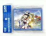 画像1: 【中国版シールド】コルニ&ルチャブル (1)