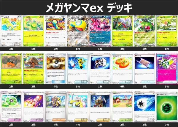 画像1: メガヤンマex デッキ (1)