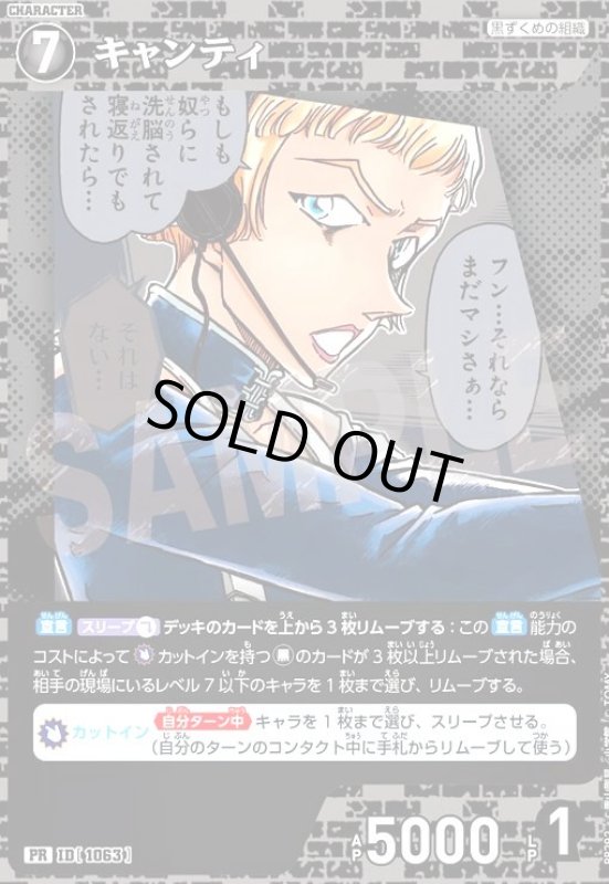 画像1: [ID1063]キャンティ(PR)(PR292)(ノーマル仕様) (1)