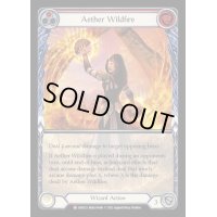 Aether Wildfire【M】【EVR123】【Extended Art】
