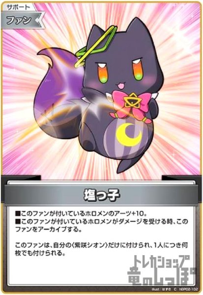 画像1: 塩っ子(C)(hBP02-102) (1)
