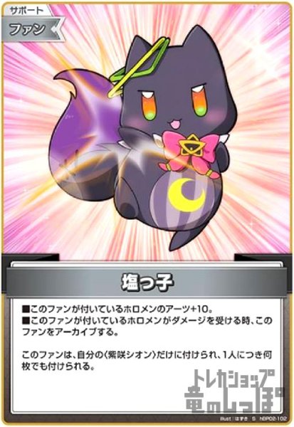 画像1: 塩っ子(S)(hBP02-102) (1)