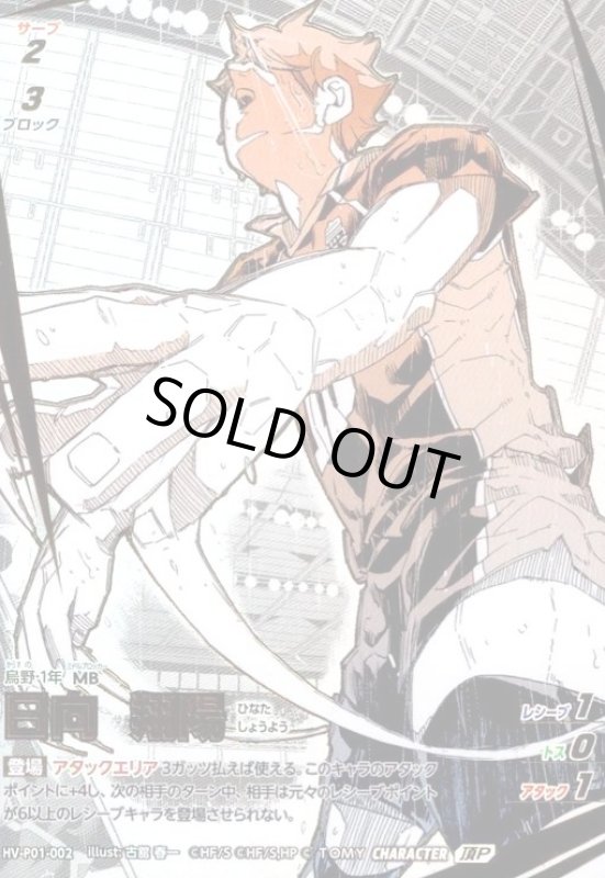 画像1: 日向 翔陽(頂P)(HV-P01-002) (1)