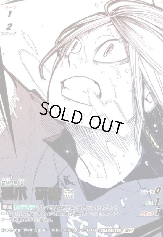 画像1: 孤爪 研磨(頂P)(HV-P01-018) (1)