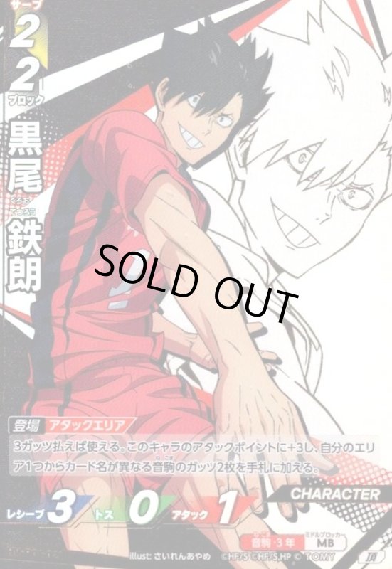 画像1: 黒尾 鉄朗(頂)(HV-P01-021) (1)