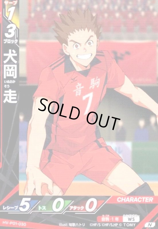 画像1: 犬岡 走(N)(HV-P01-030) (1)
