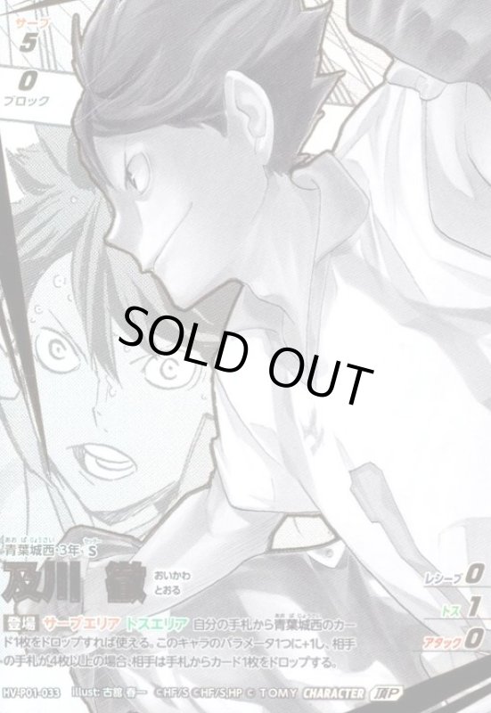 画像1: 及川 徹(頂P)(HV-P01-033) (1)