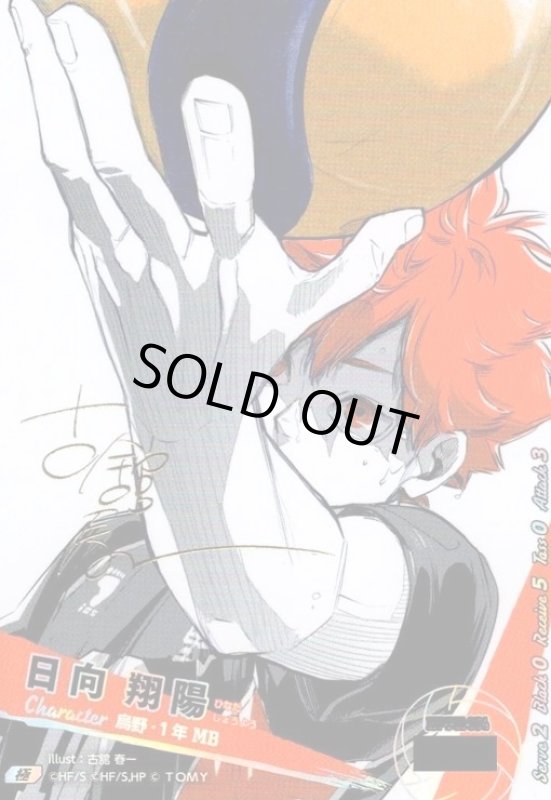 画像1: 日向 翔陽(極)(シリアル)(HV-P01-004) (1)