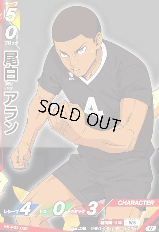 画像1: 尾白 アラン(N)(HV-P02-030) (1)