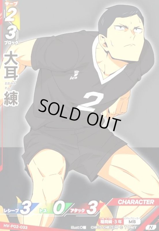 画像1: 大耳 練(N)(HV-P02-033) (1)