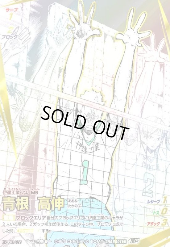 画像1: 青根 高伸(頂P)(HV-P02-036) (1)