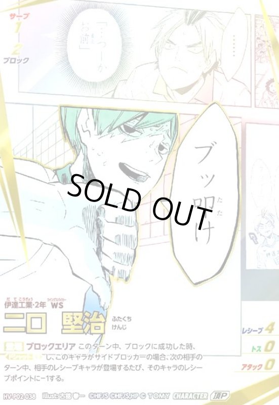 画像1: 二口 堅治(頂P)(HV-P02-038) (1)