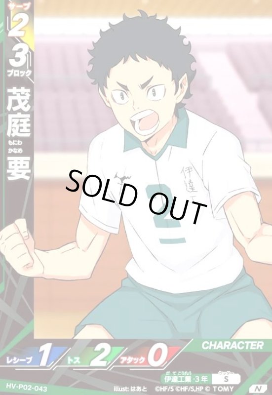 画像1: 茂庭 要(N)(HV-P02-043) (1)