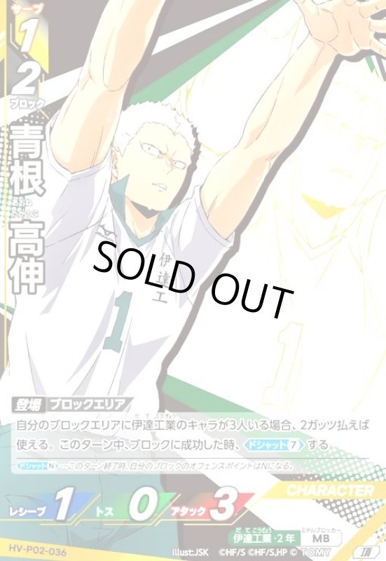 画像1: 青根 高伸(頂)(HV-P02-036) (1)