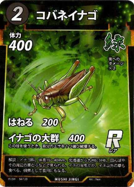 画像1: コバネイナゴ(R)(84/130) (1)