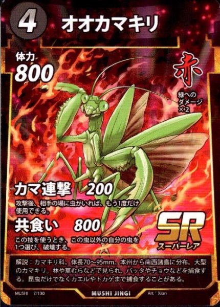 画像1: オオカマキリ(ノンフォイル)(SR)(7/130) (1)
