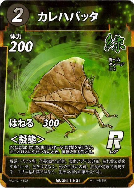 画像1: カレハバッタ(R)(42/55) (1)