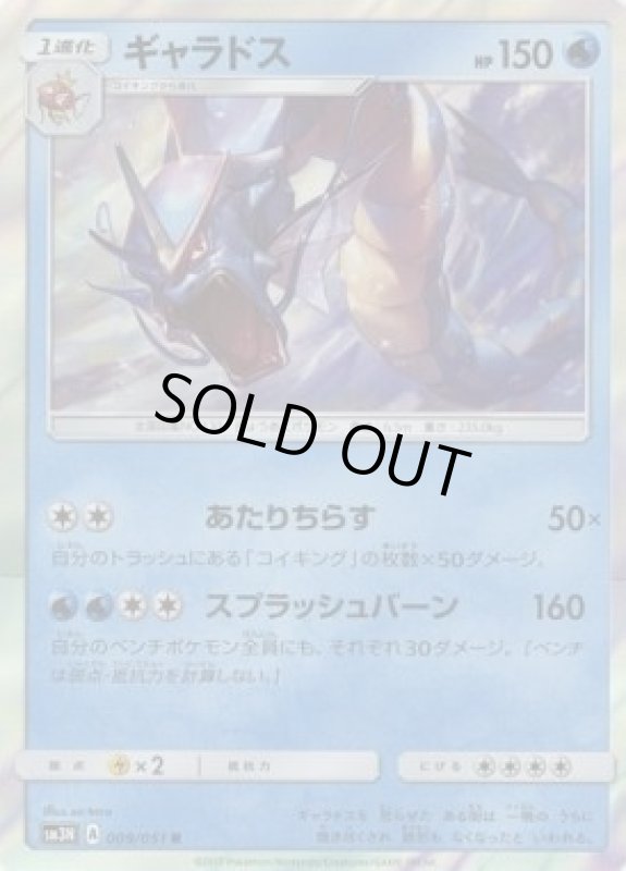 画像1: 【R】ギャラドス (1)