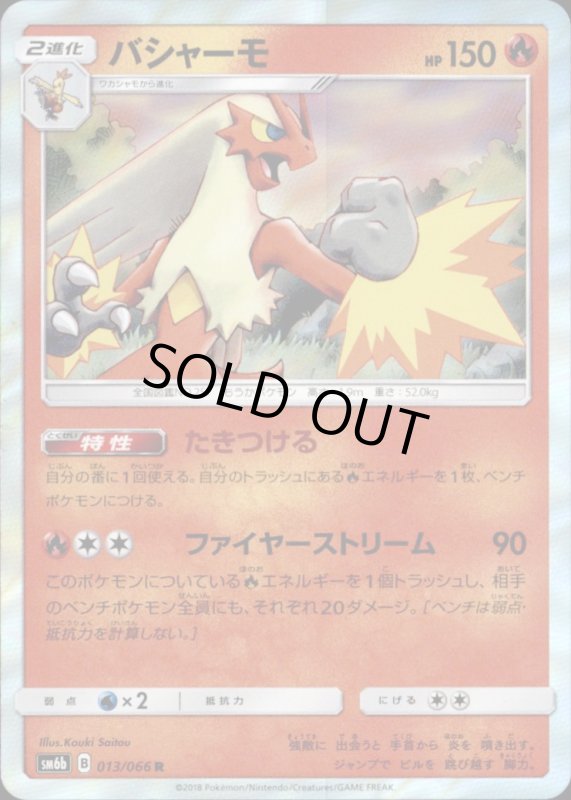 画像1: 【R】バシャーモ (1)