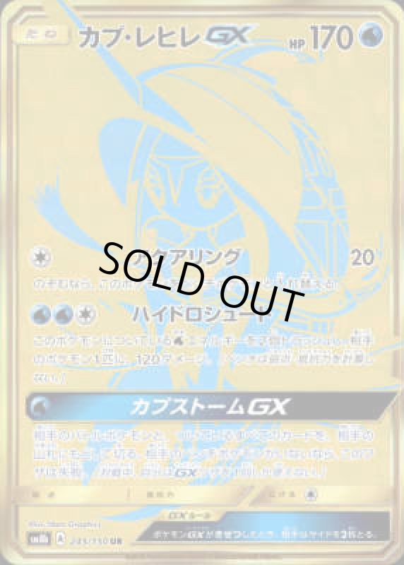 画像1: 【245/150 UR】カプレヒレGX (1)