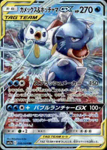 画像1: 【016-064 RR】カメックス&ポッチャマGX (1)