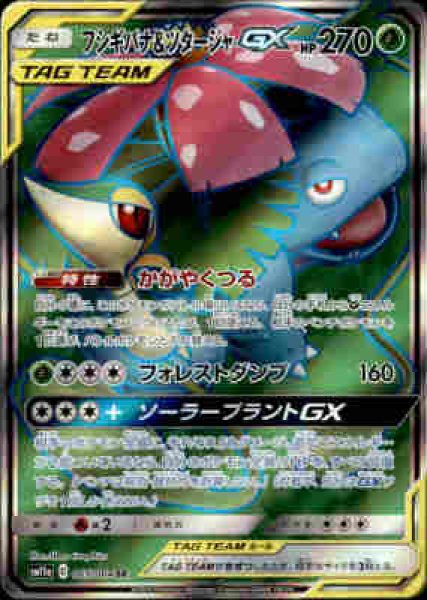 画像1: 【065-064 SR】フシギバナ&ツタージャGX (1)