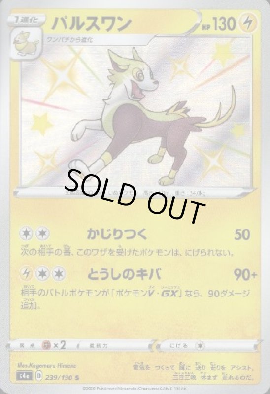 画像1: パルスワン【239/190 S】 (1)