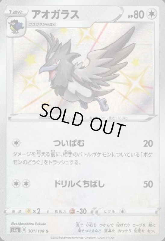 画像1: アオガラス【301/190 S】 (1)