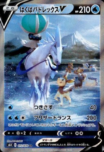 画像1: はくばバドレックスV【073/070 SR】 (1)