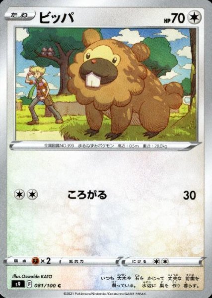 画像1: ビッパ【ころがる】 (1)