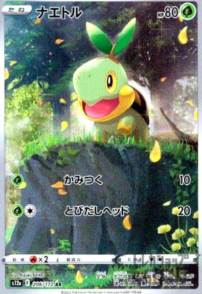 画像1: ナエトル(206/172 AR) (1)