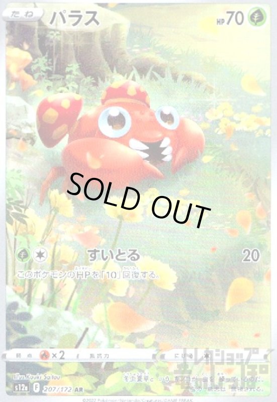 画像1: パラス(207/172 AR) (1)