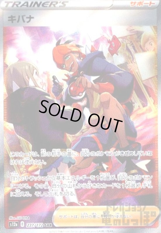 画像1: キバナ【237/172 SAR】 (1)