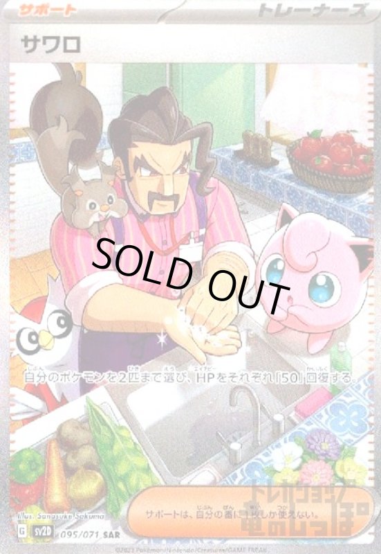 画像1: サワロ【095/071 SAR】 (1)