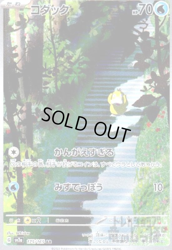 画像1: コダック【175/165 AR】 (1)