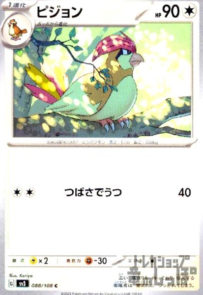 画像1: ピジョン【つばさでうつ】 (1)