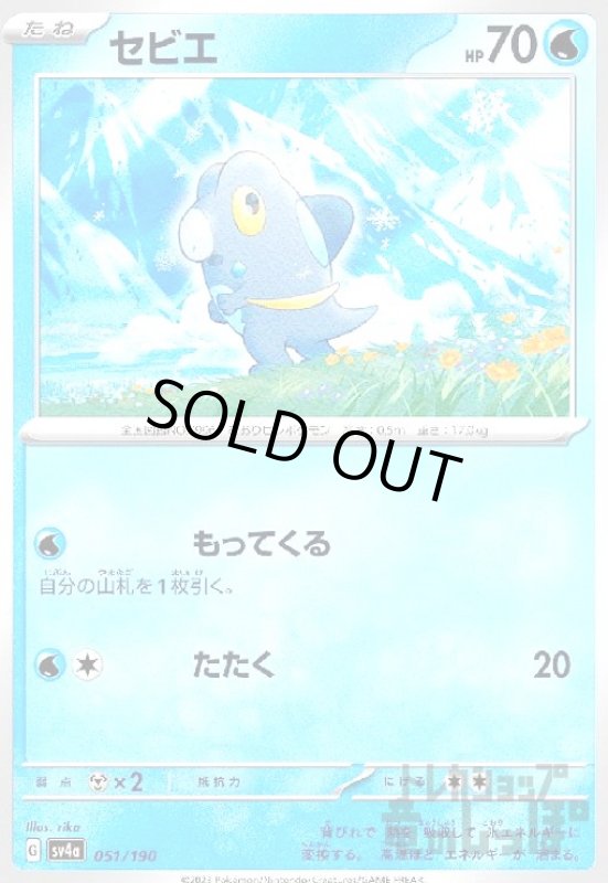 画像1: セビエ(もってくる/たたく) (1)