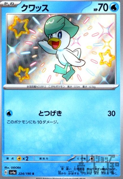 画像1: クワッス(224/190 S) (1)