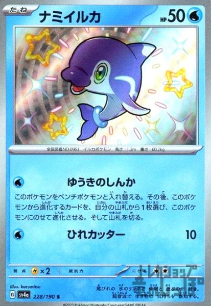 画像1: ナミイルカ(228/190 S) (1)