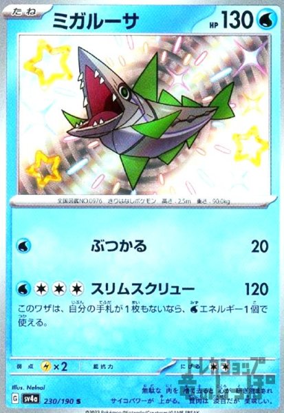 画像1: ミガルーサ(230/190 S) (1)