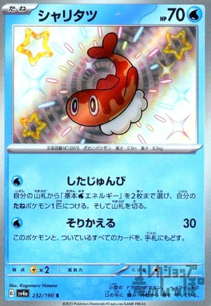 画像1: シャリタツ(232/190 S) (1)