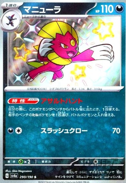画像1: マニューラ(290/190 S) (1)