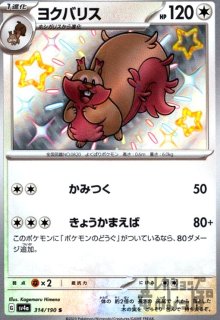 ピカチュウex(RR)(044/193) - トレカショップ竜のしっぽ