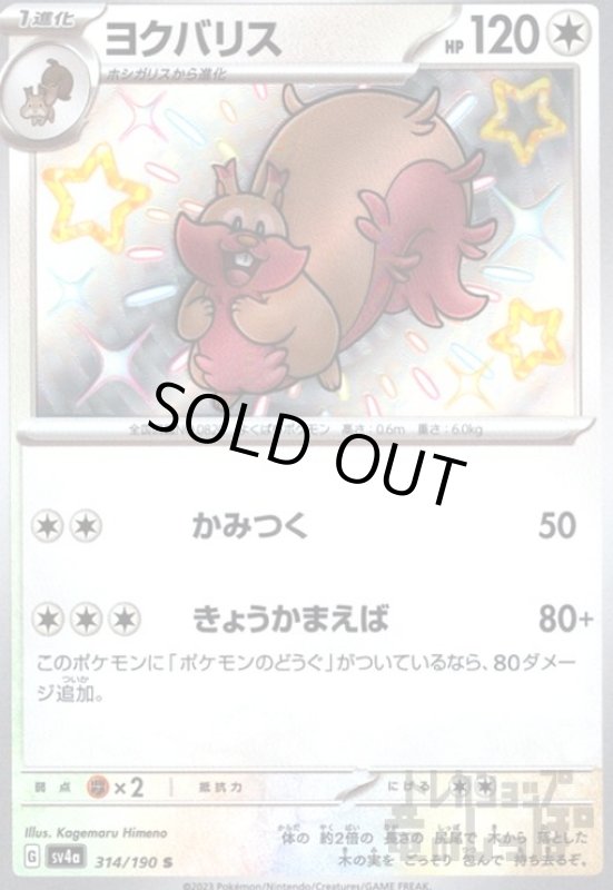 画像1: ヨクバリス(314/190 S) (1)