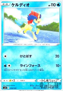 プレイマット　スリーブ　リザードン　カメックス　フシギバナ 未使用品 海外版 公式 リザードン プレイマット フシギバナ