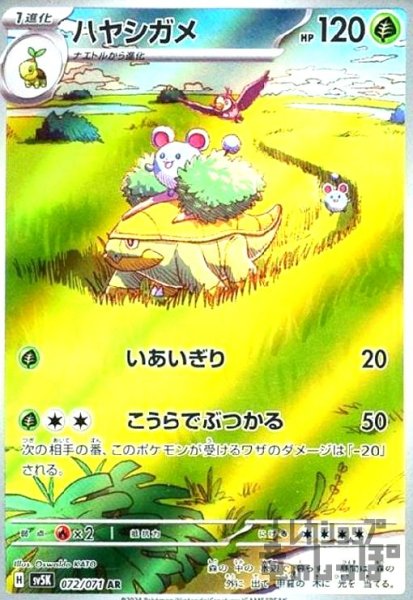 画像1: ハヤシガメ(072/071 AR) (1)