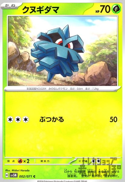 画像1: クヌギダマ(ぶつかる) (1)