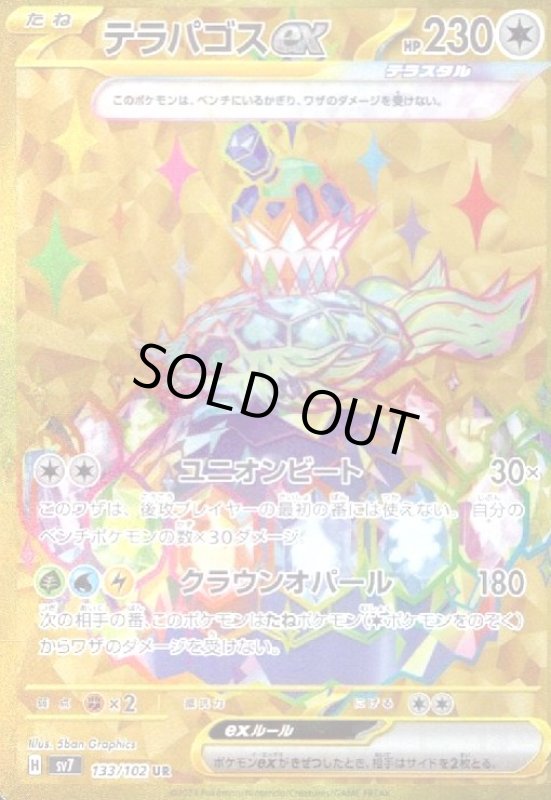 画像1: テラパゴスex(133/102 UR) (1)