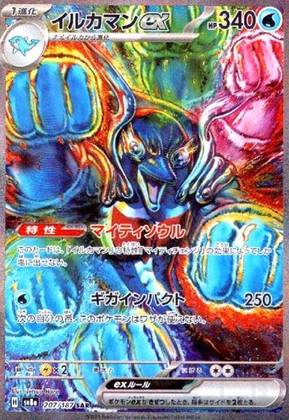 画像1: イルカマンex(207/187 SAR) (1)
